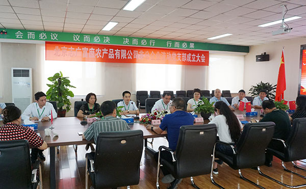 leyu(中国)党支部成立